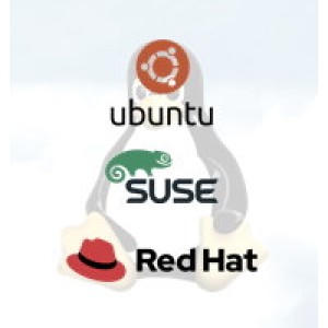 Power9 L922 9008-22L ELPV 16-core Linux Server