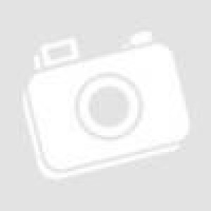 1GB iSCSI TOE PCI-X Ethernet Adapter (copper) 1GB iSCSI TOE PCI-X Ethernet Adapter (copper)