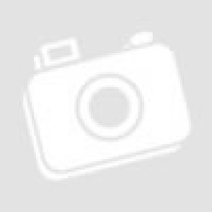 1GB iSCSI TOE PCI-X Ethernet Adapter (copper) 1GB iSCSI TOE PCI-X Ethernet Adapter (copper)